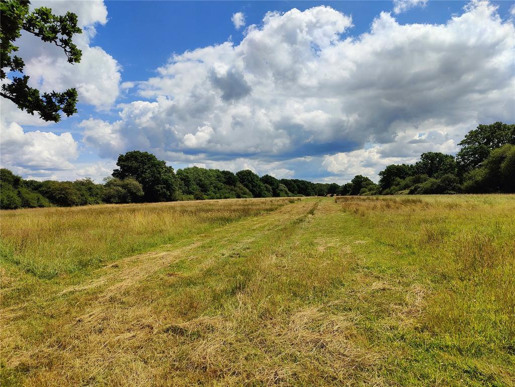 Nyewood, Petersfield Land for sale £150,000