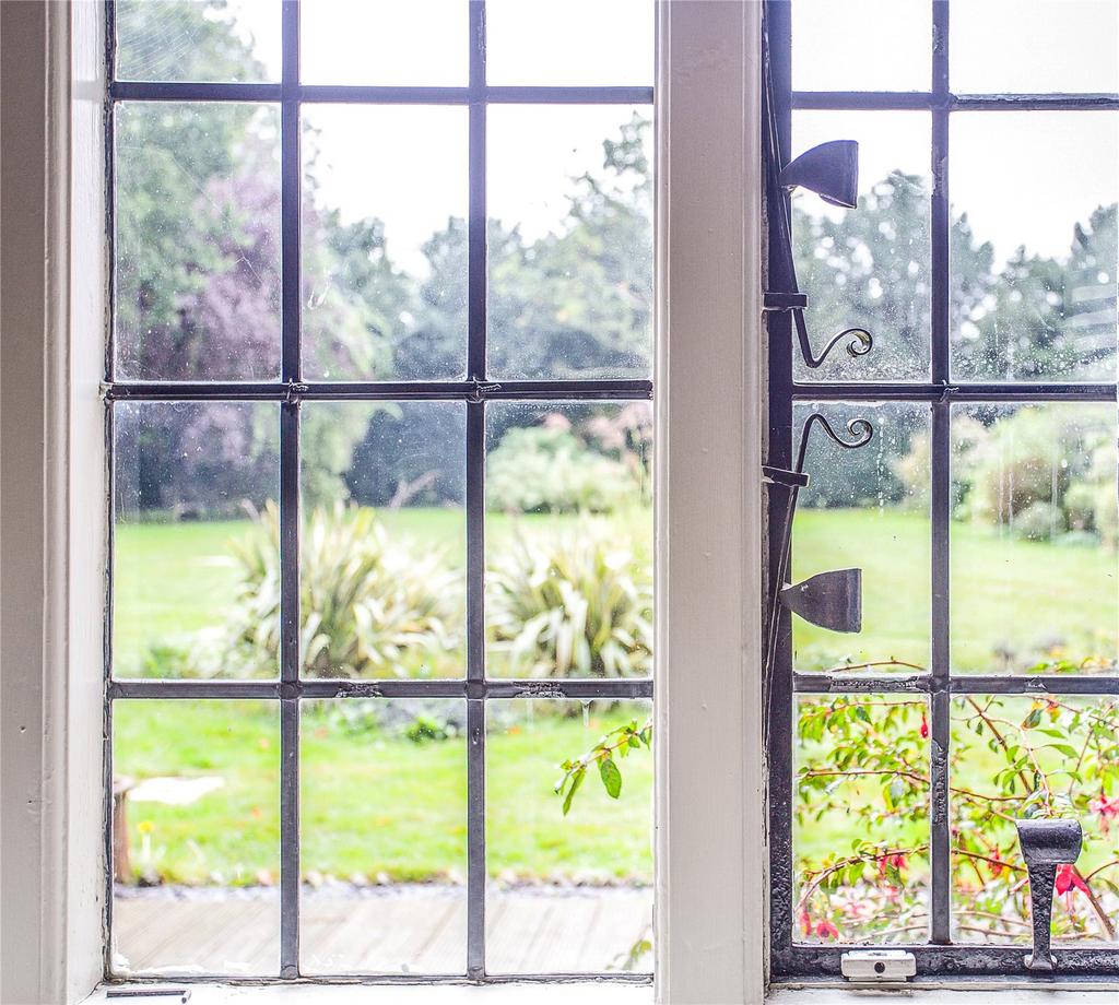 View To Garden
