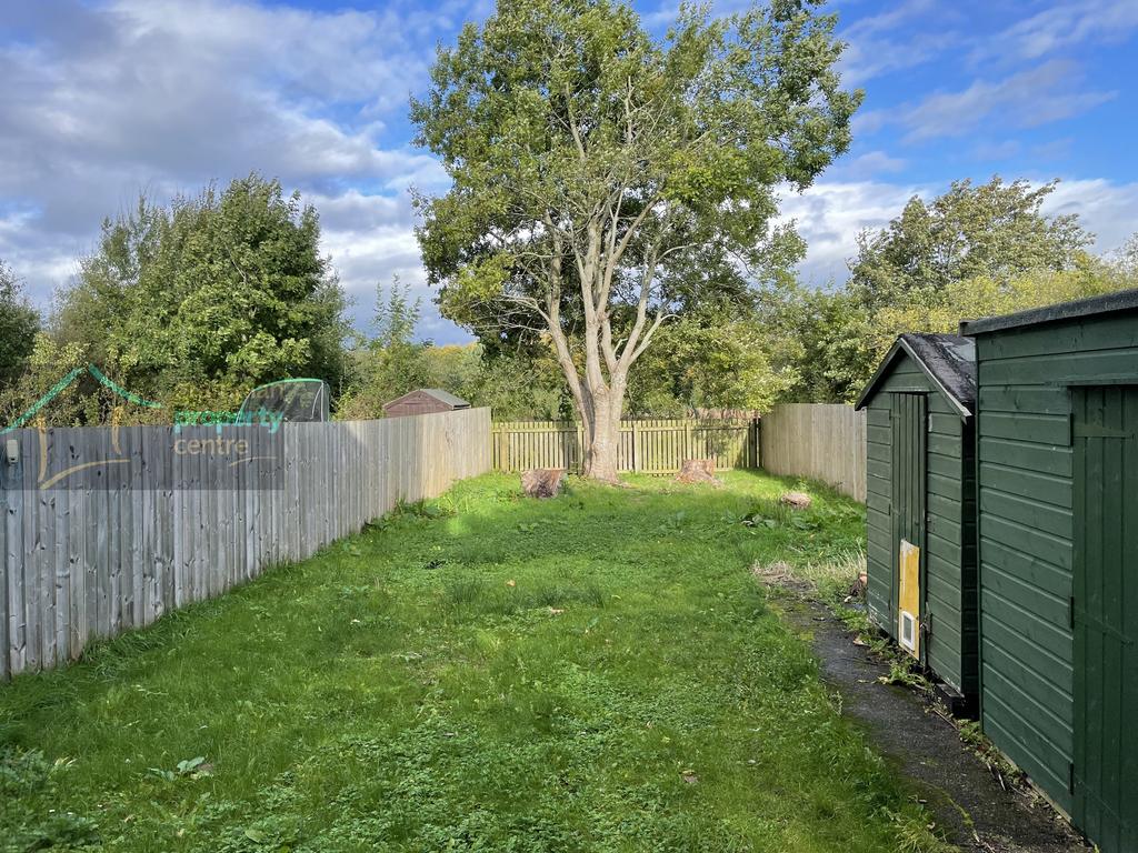 Back Garden.JPG