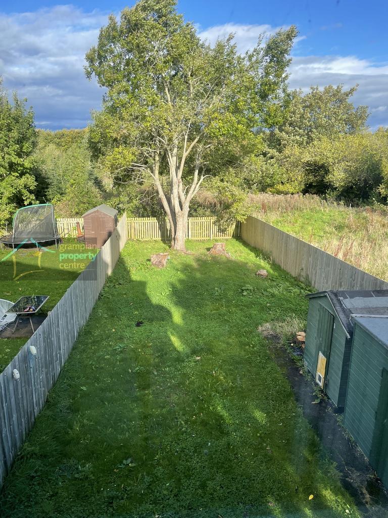 Back Garden 2.JPG