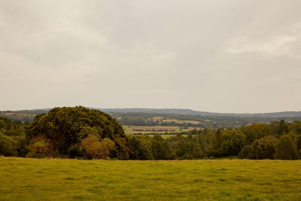 179894   udimore road hires 57.jpg
