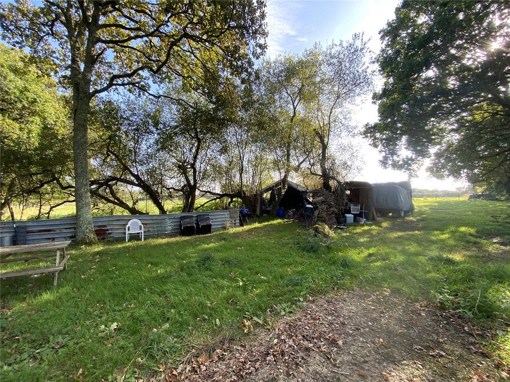 Wooded Area