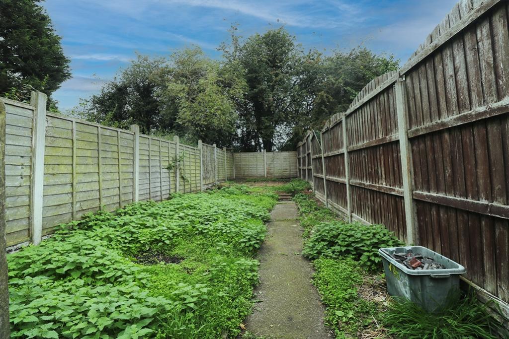Back garden
