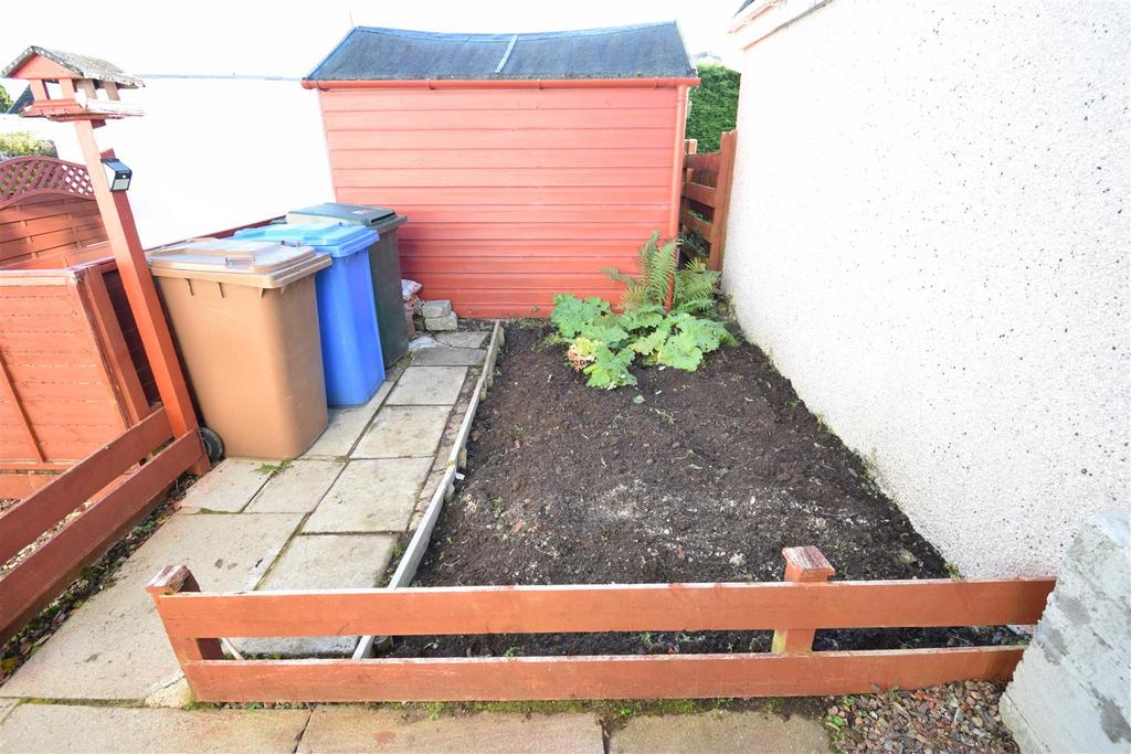 Behind shed.jpg