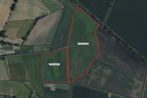 Farm land for sale - Black Bank, Southery PE38