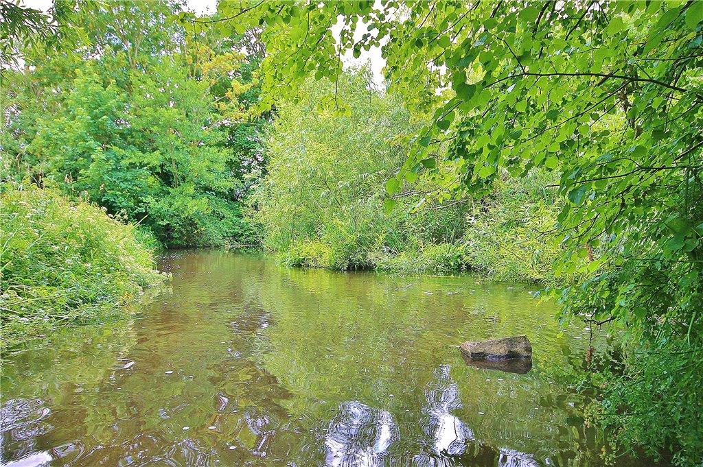 Colne Reach Stream