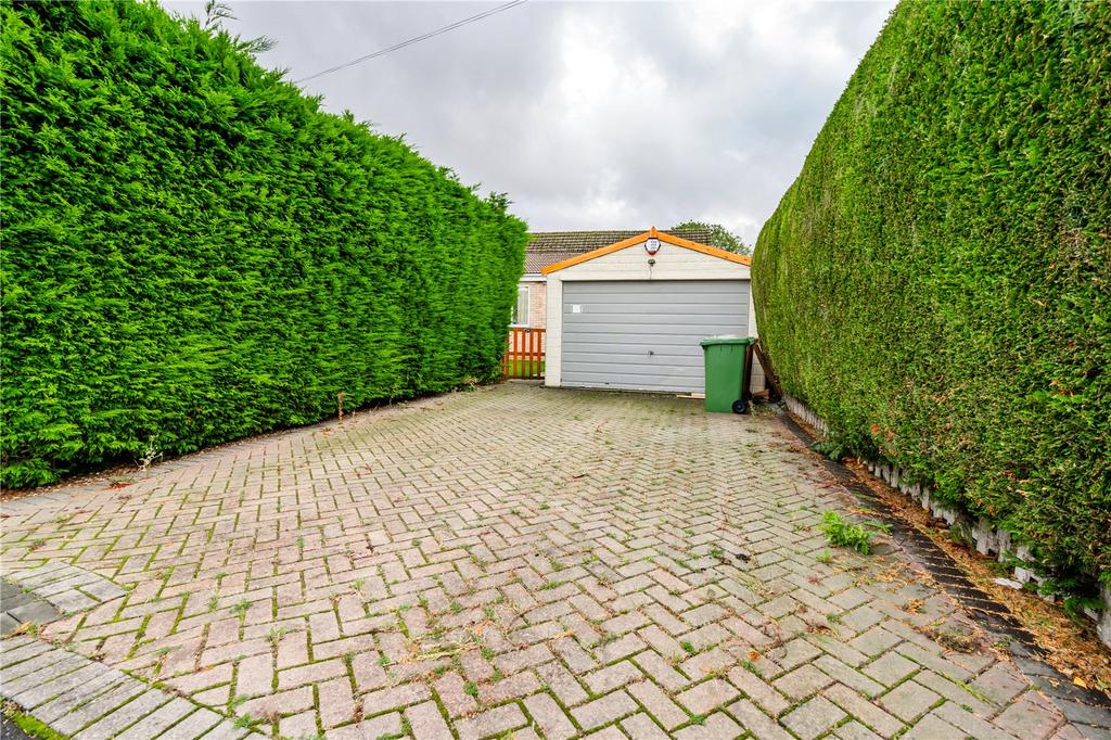 Garden (4)