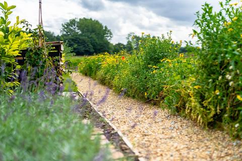 Brook Barn Bridge Road, Bunwell, Norwich, NR16 1SX