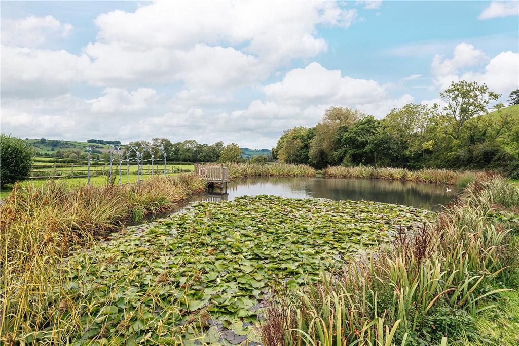 Fishing Pond