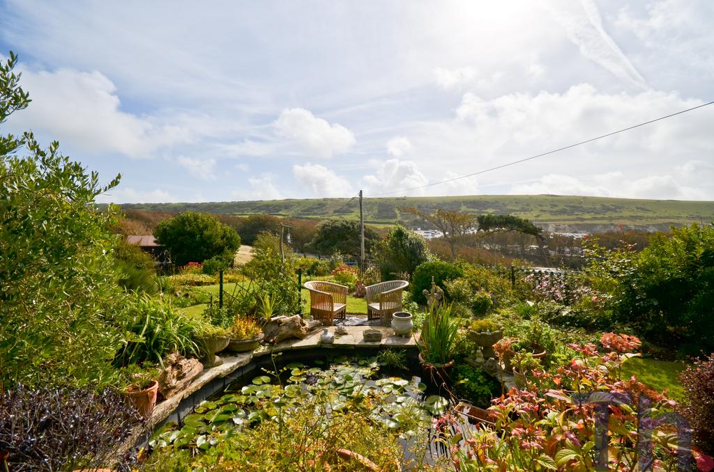 Garden and Pond.JPG