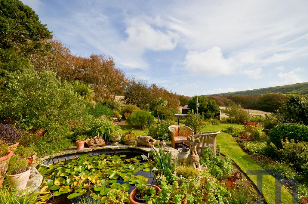 Garden with ornamental pond.JPG