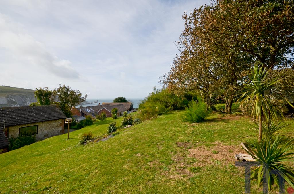 Rear garden with views of Needles.JPG