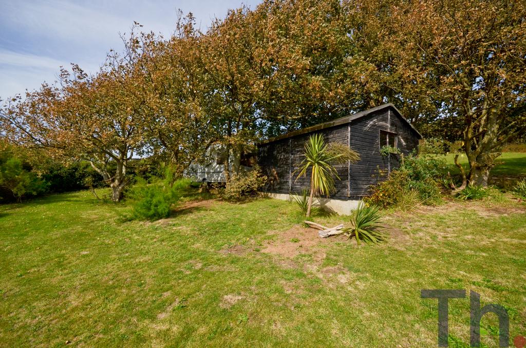 Shed &amp; Outbuilding.JPG