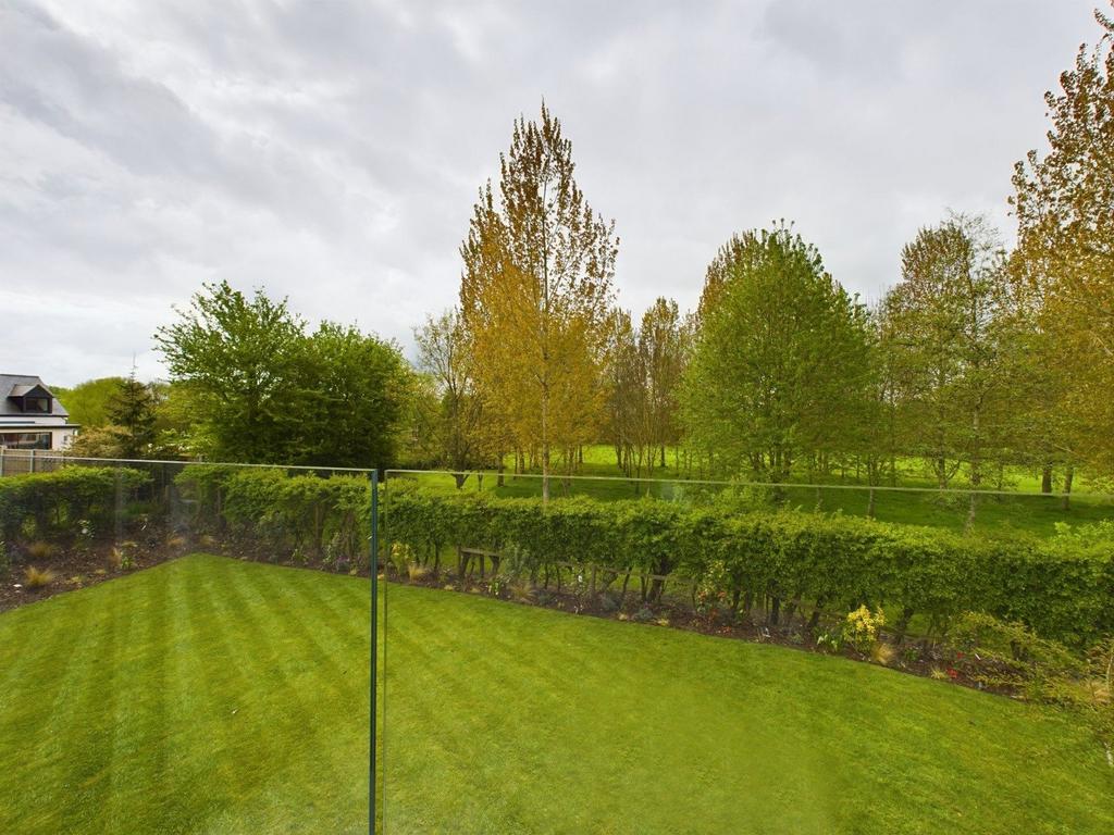 View Of Garden