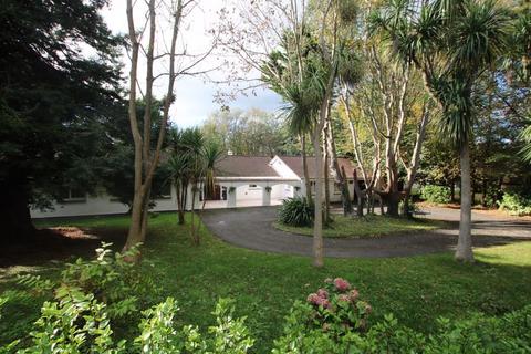 4 bedroom detached bungalow for sale - Amnis de Russyn, Phildraw Road, Ballasalla, IM9 3DU