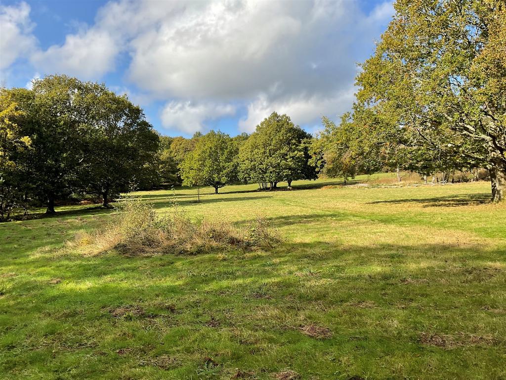 Surrounding Area