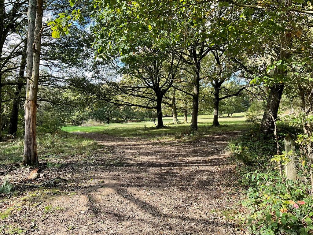 Surrounding Area