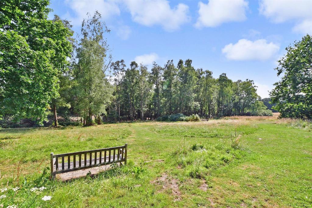 Surrounding Area