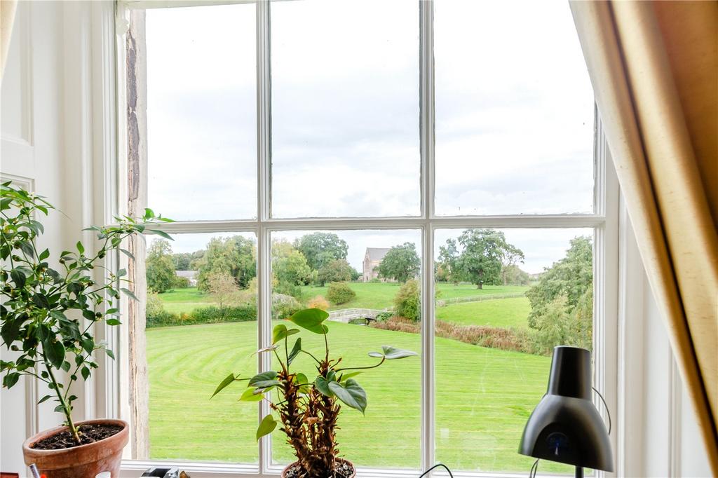 Views Of The Grounds