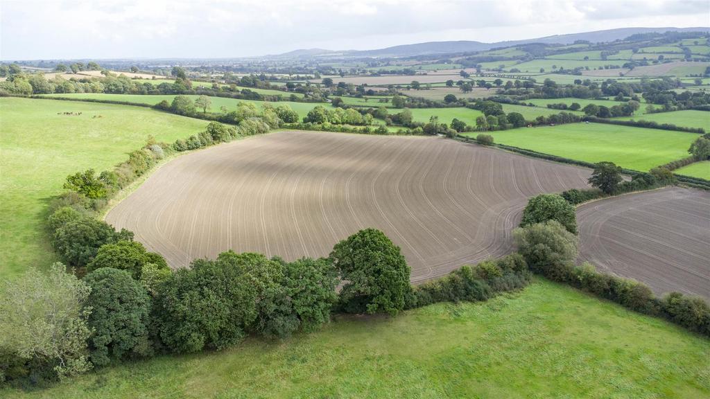 DJI 0738.jpg