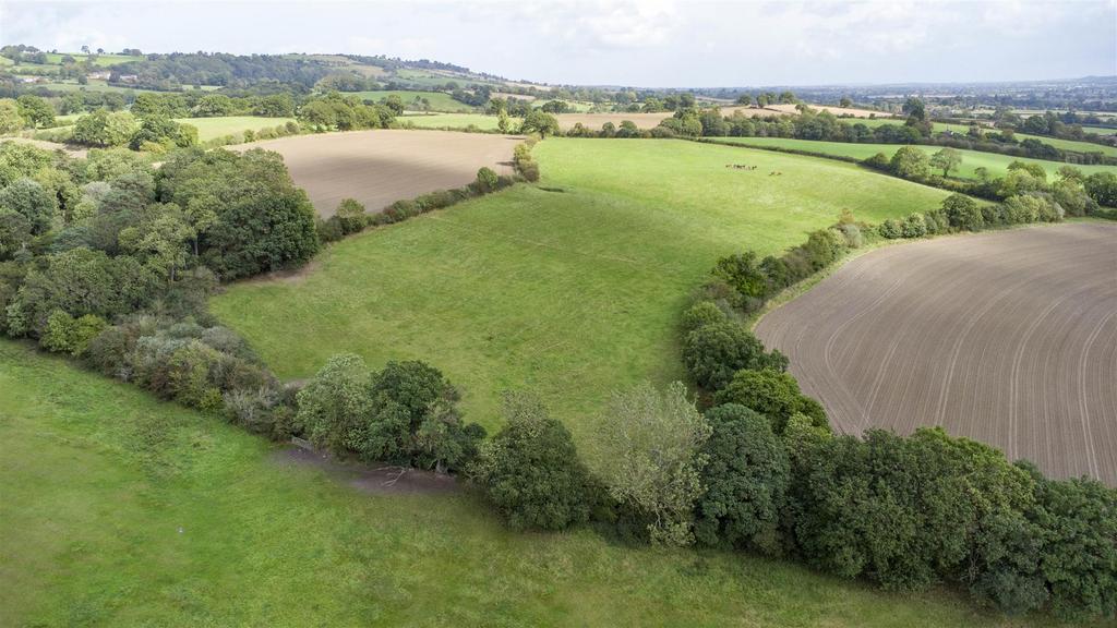 DJI 0739.jpg