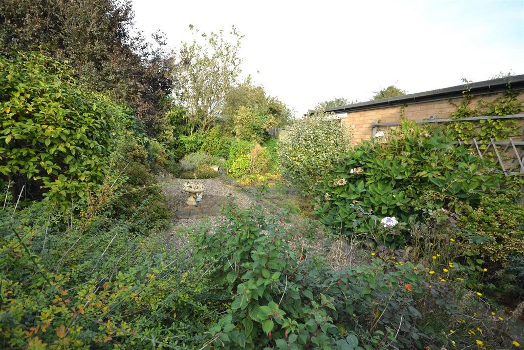 Dsc 0020.jpg