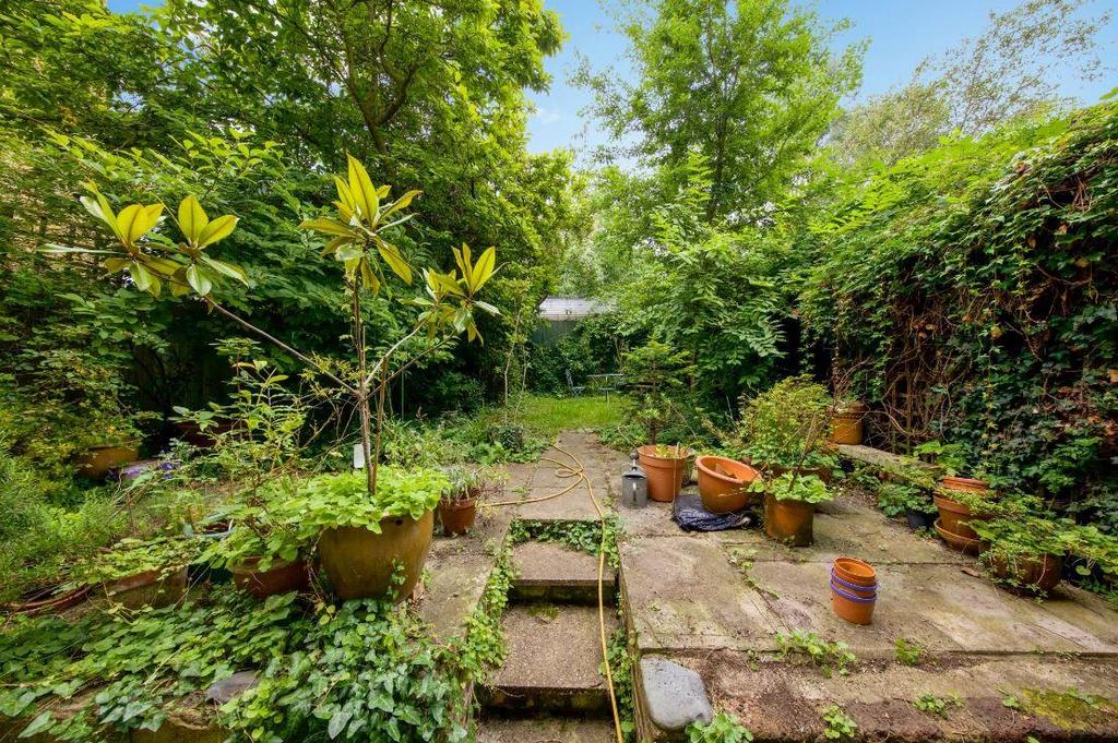 Garden js.JPG