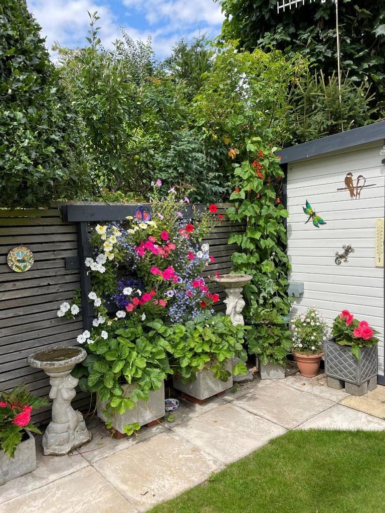 Garden in bloom.jpg
