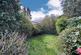 Garden at Back