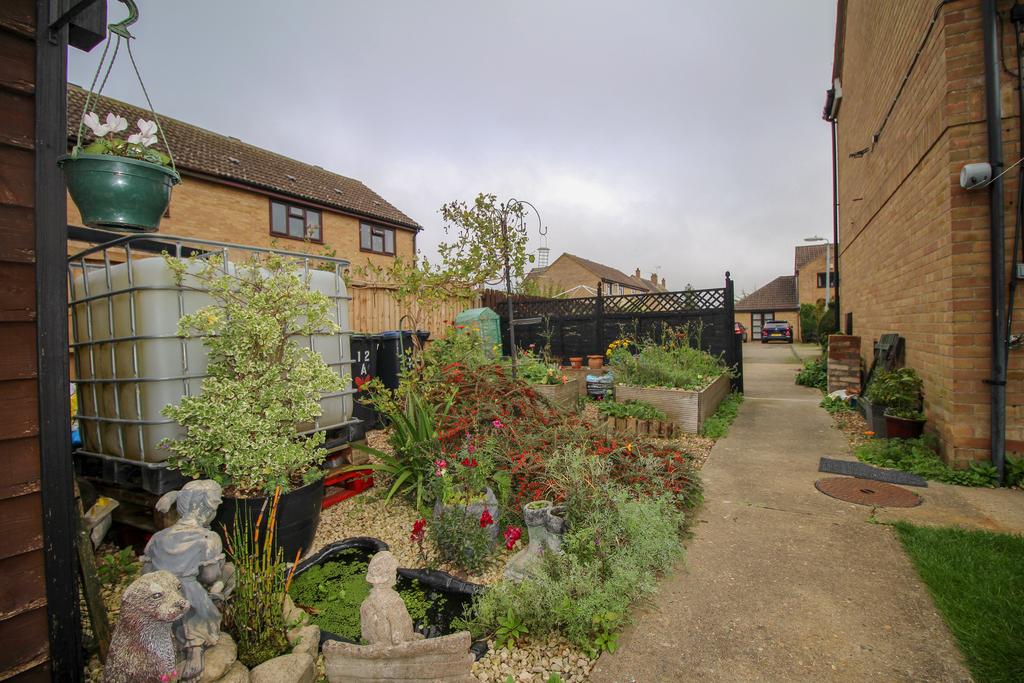 Veg plot at rear