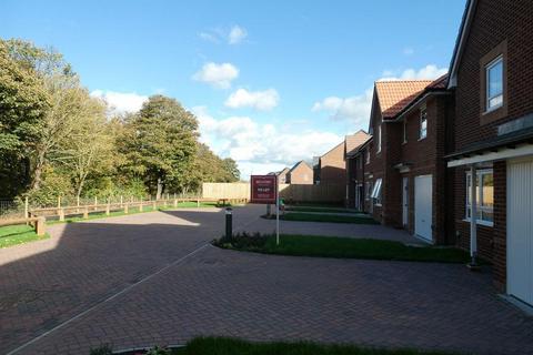 3 bedroom detached house to rent, Fallow Drive, Doncaster, DN2