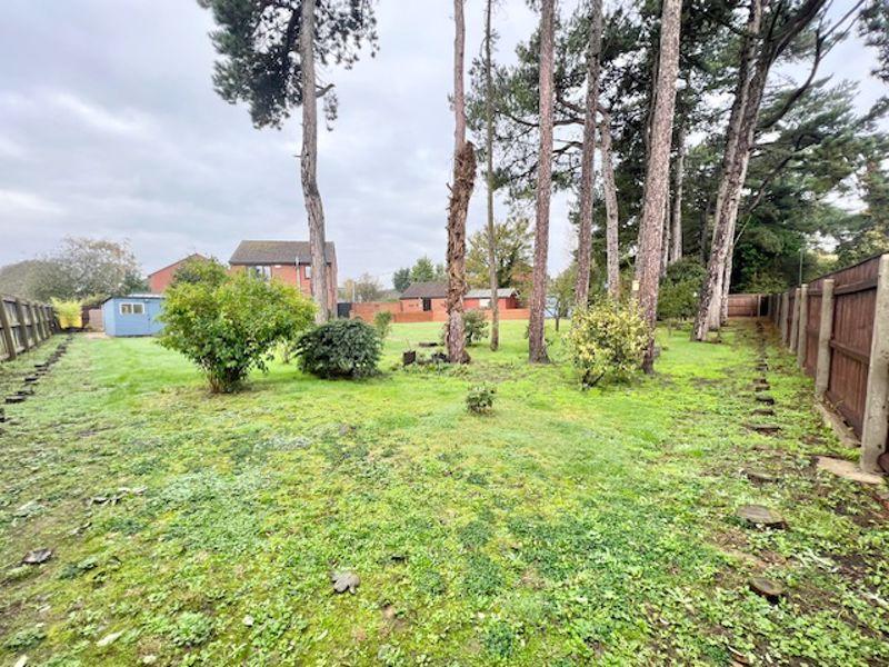 Rear garden view 3