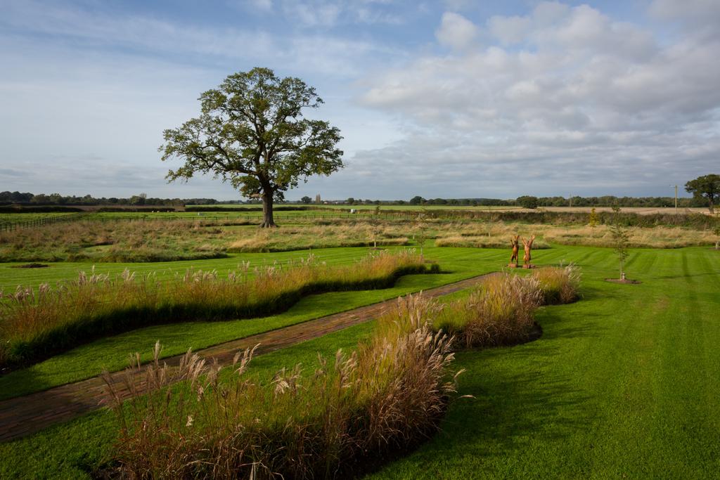 Wildflower Meadow