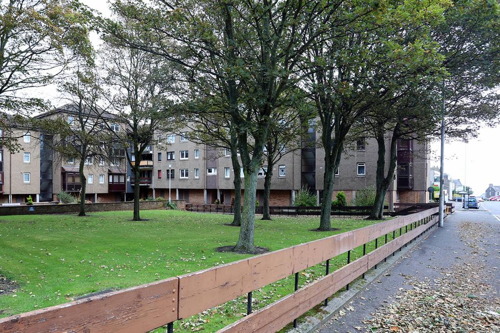 MFL2220661 240.jpg