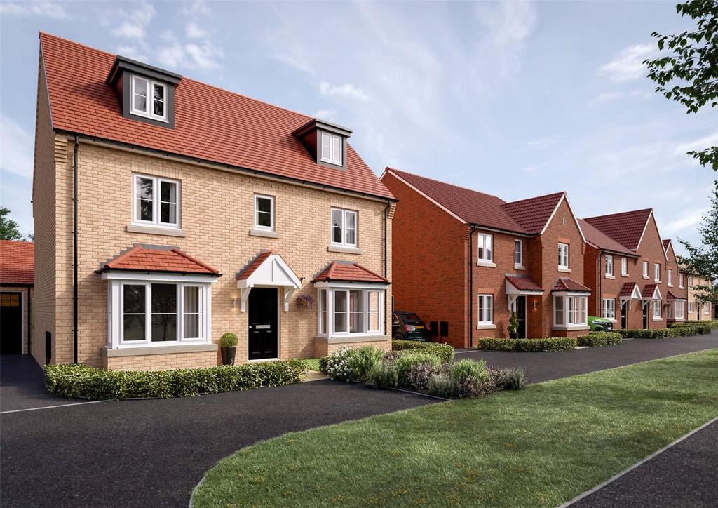 Show Home Image