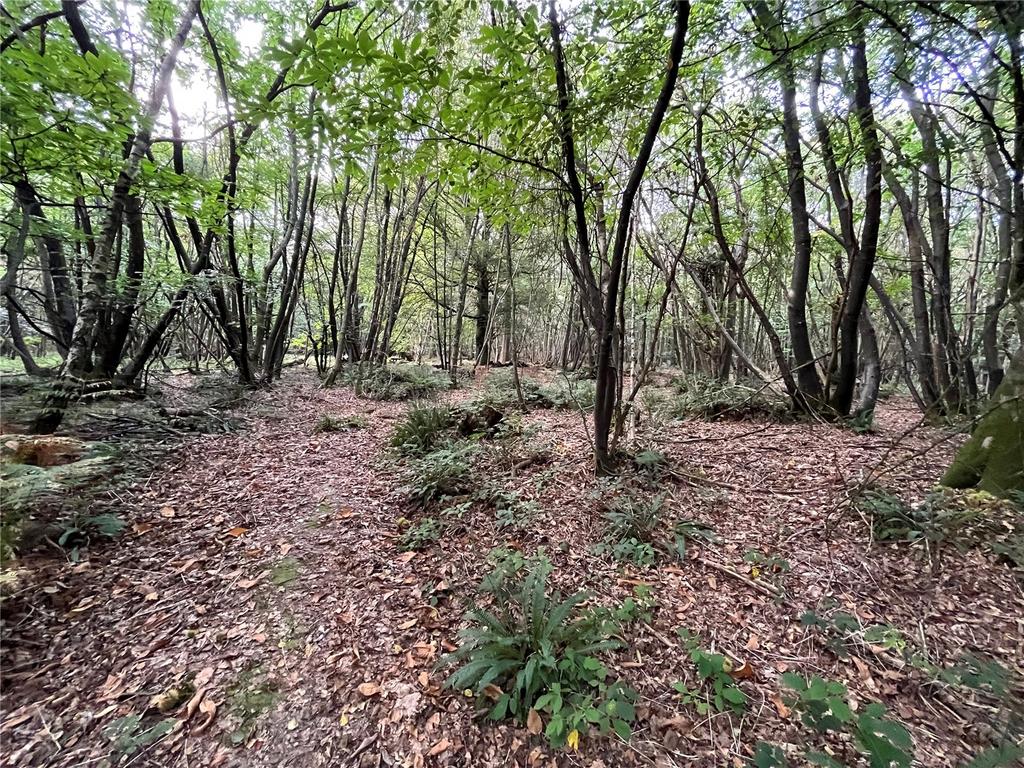 Tree Tops, Wilderness Lane, Hadlow Down, Uckfield, TN22 Land for sale