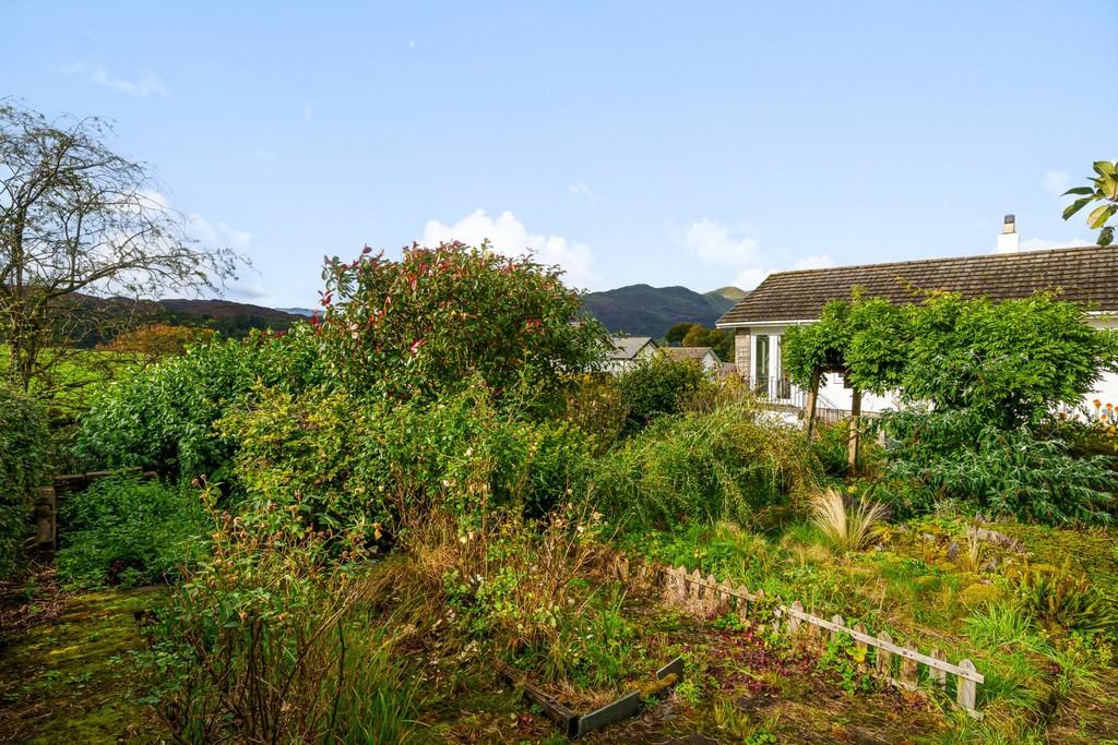 Garden with View