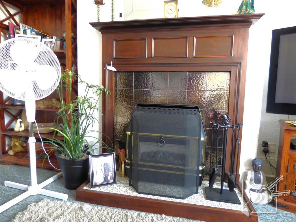 Feature Fireplace