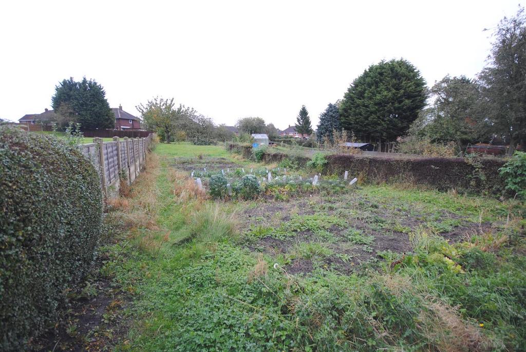 50prestonlanegarden3.JPG