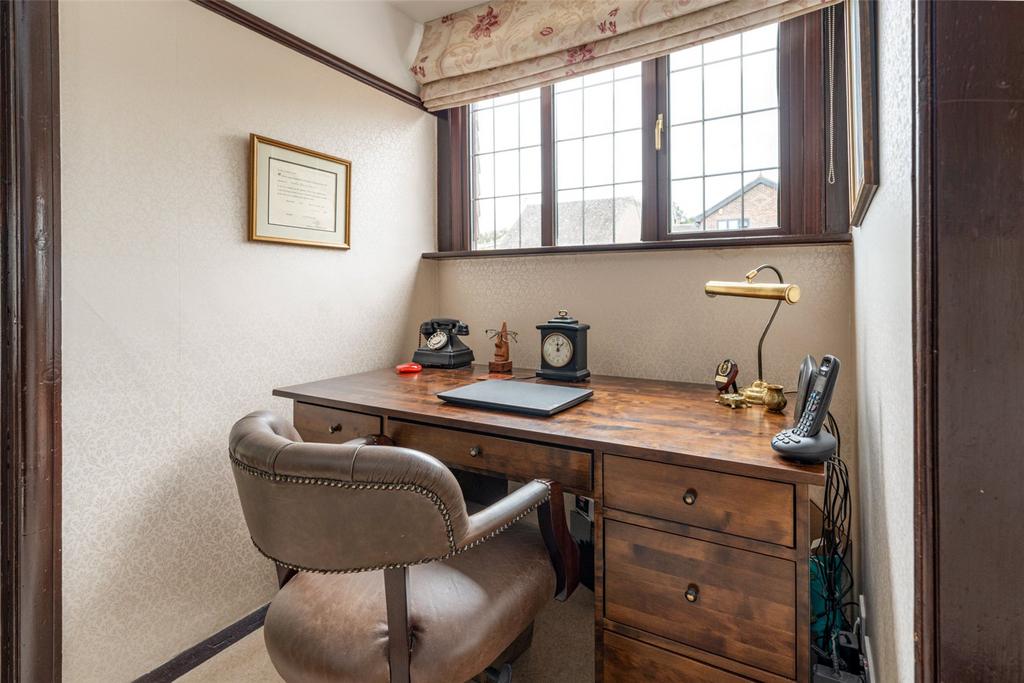 Study Area