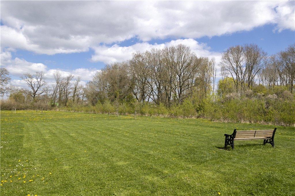 Green Space
