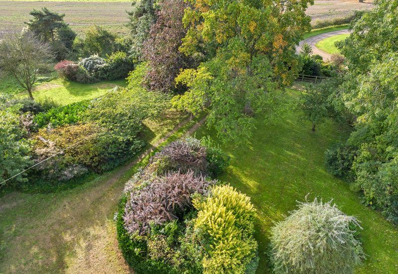 Garden Elevated