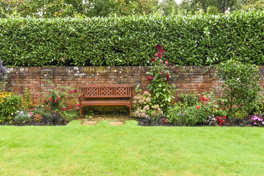 A communal garden 1