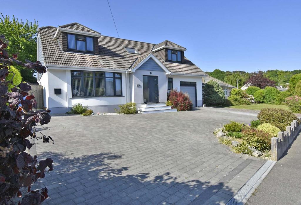 Cb00.jpg