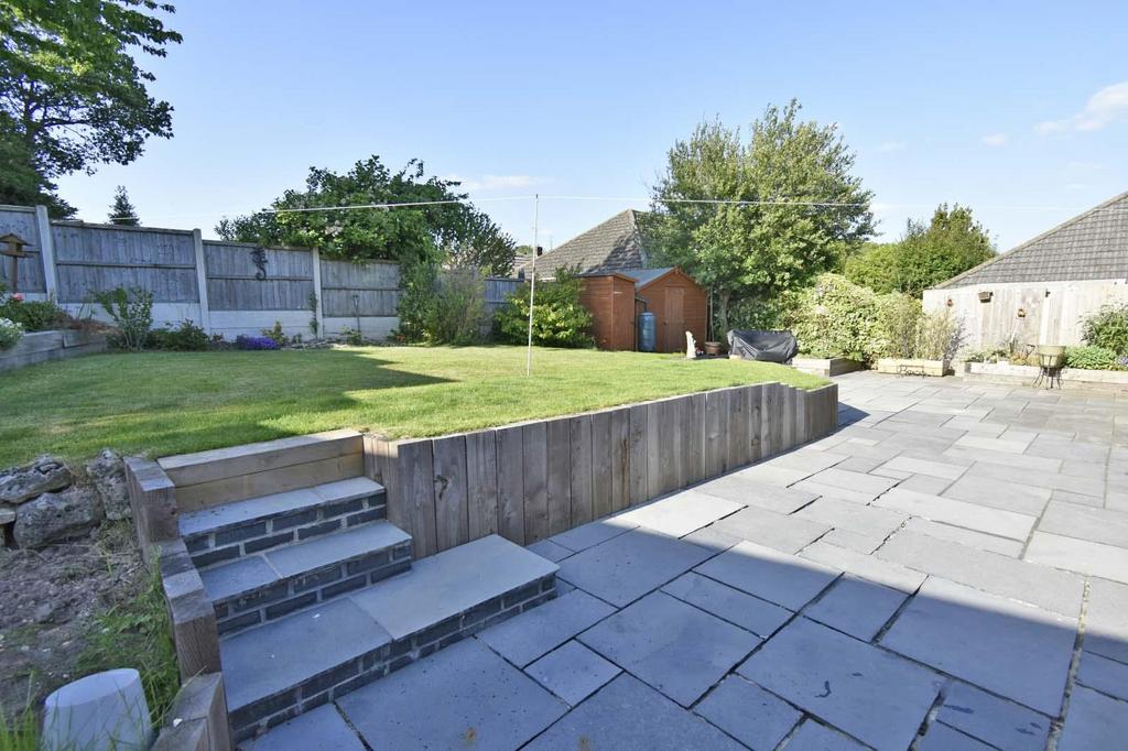 A garden.jpg