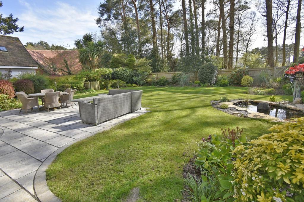 A garden 2023.jpg