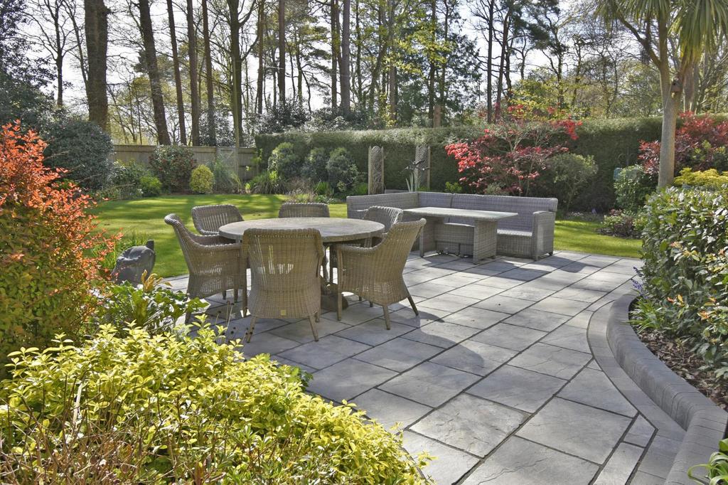 A garden 2.jpg
