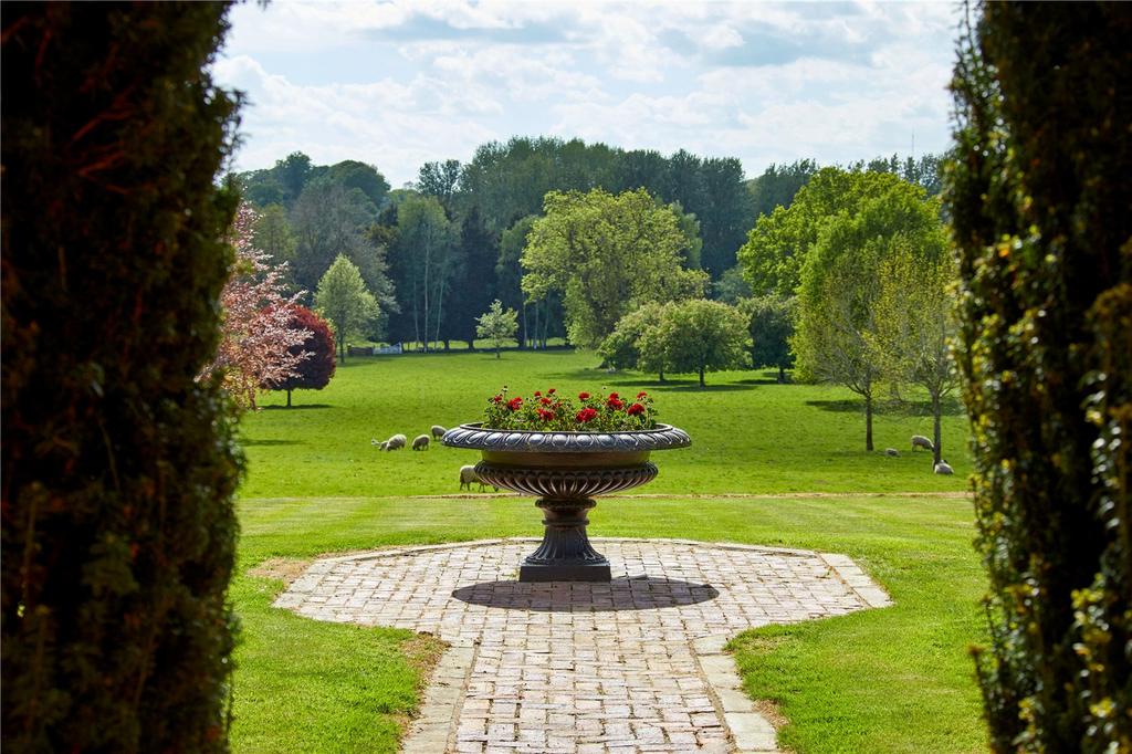 View From The Garden