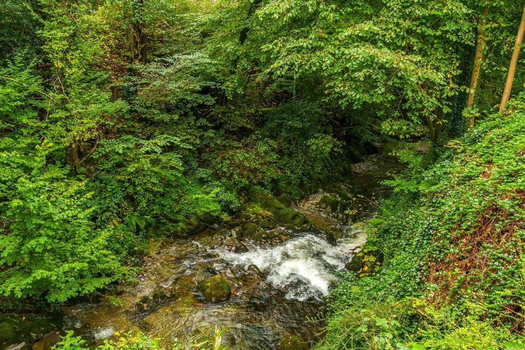 View Of Waterfall