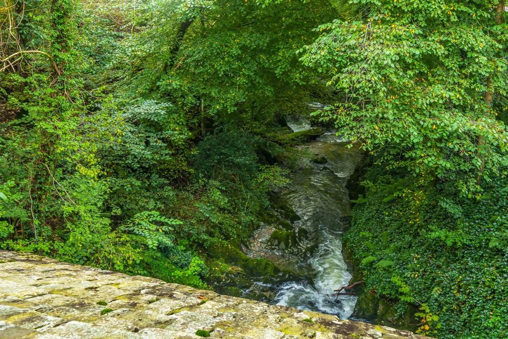 View Of Waterfall